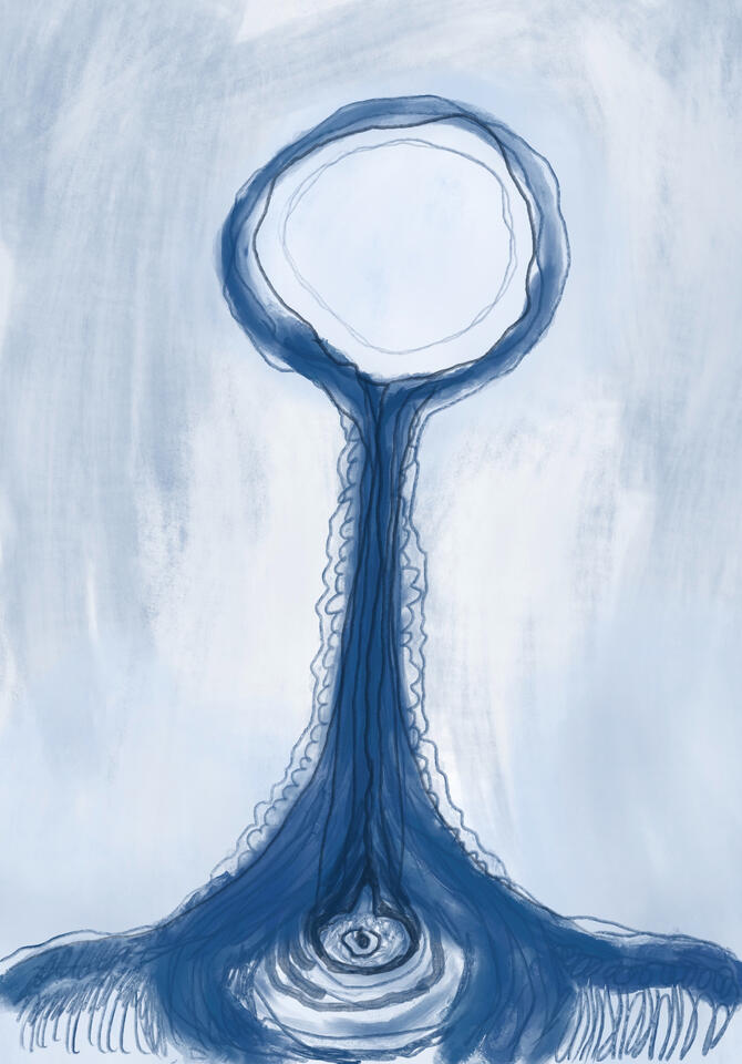 The Cord The Cord